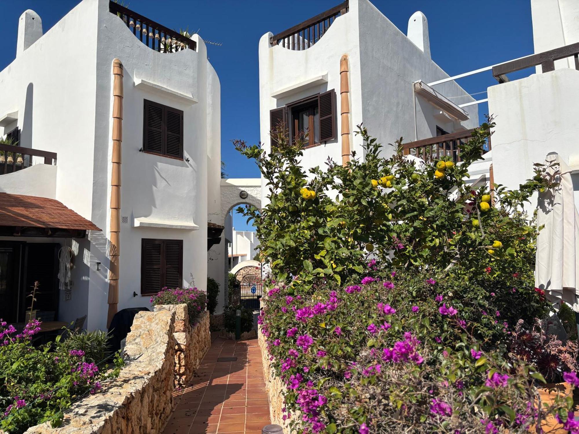Hippie Und Famila Paraiso * Cala D´Or